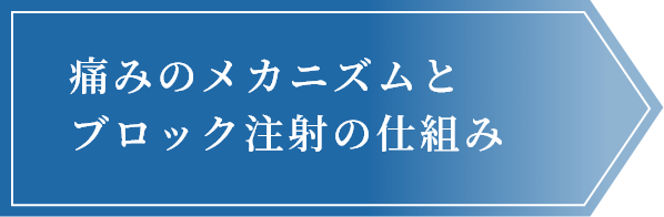 痛みのメカニズムとブロック注射の仕組み
